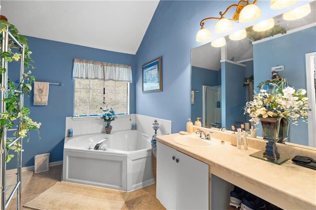 1380 Pebble Beach Lane Hampton, GA 30228 - Photo 35 of 59 a bathroom with a sink a faucet a mirror and a bathtub