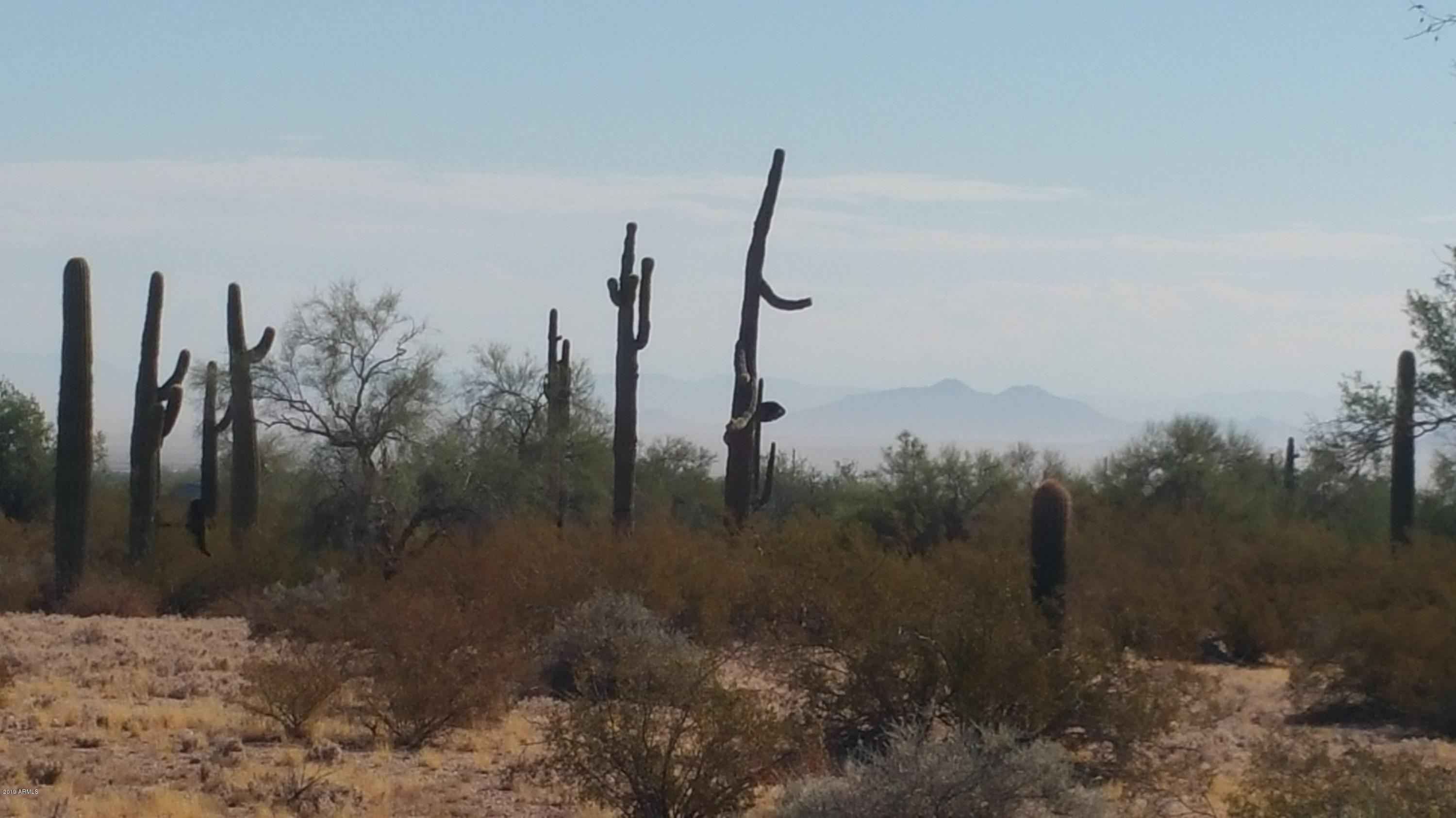 V South Hidden Valley Road Maricopa, AZ 85139 - Photo 15 of 20 20190814_082212