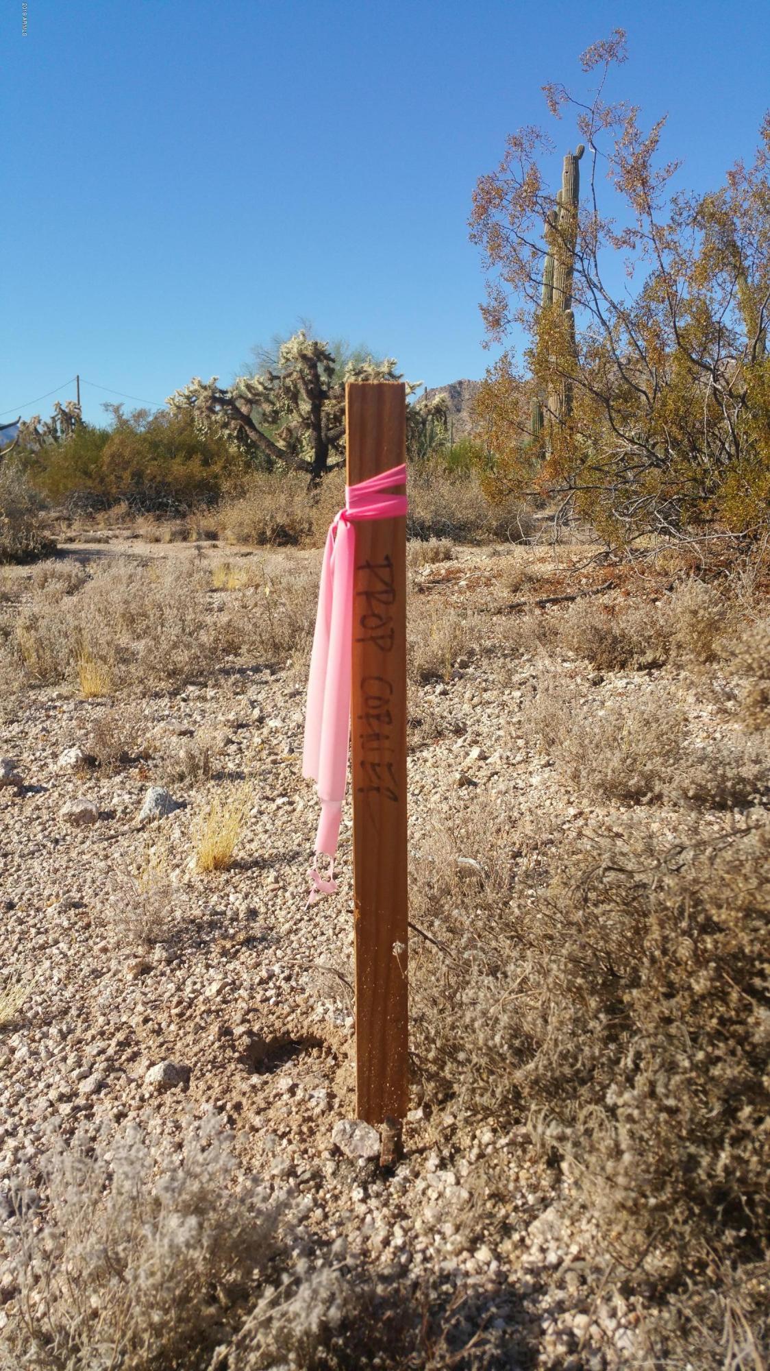 V South Hidden Valley Road Maricopa, AZ 85139 - Photo 16 of 20 20190814_081756