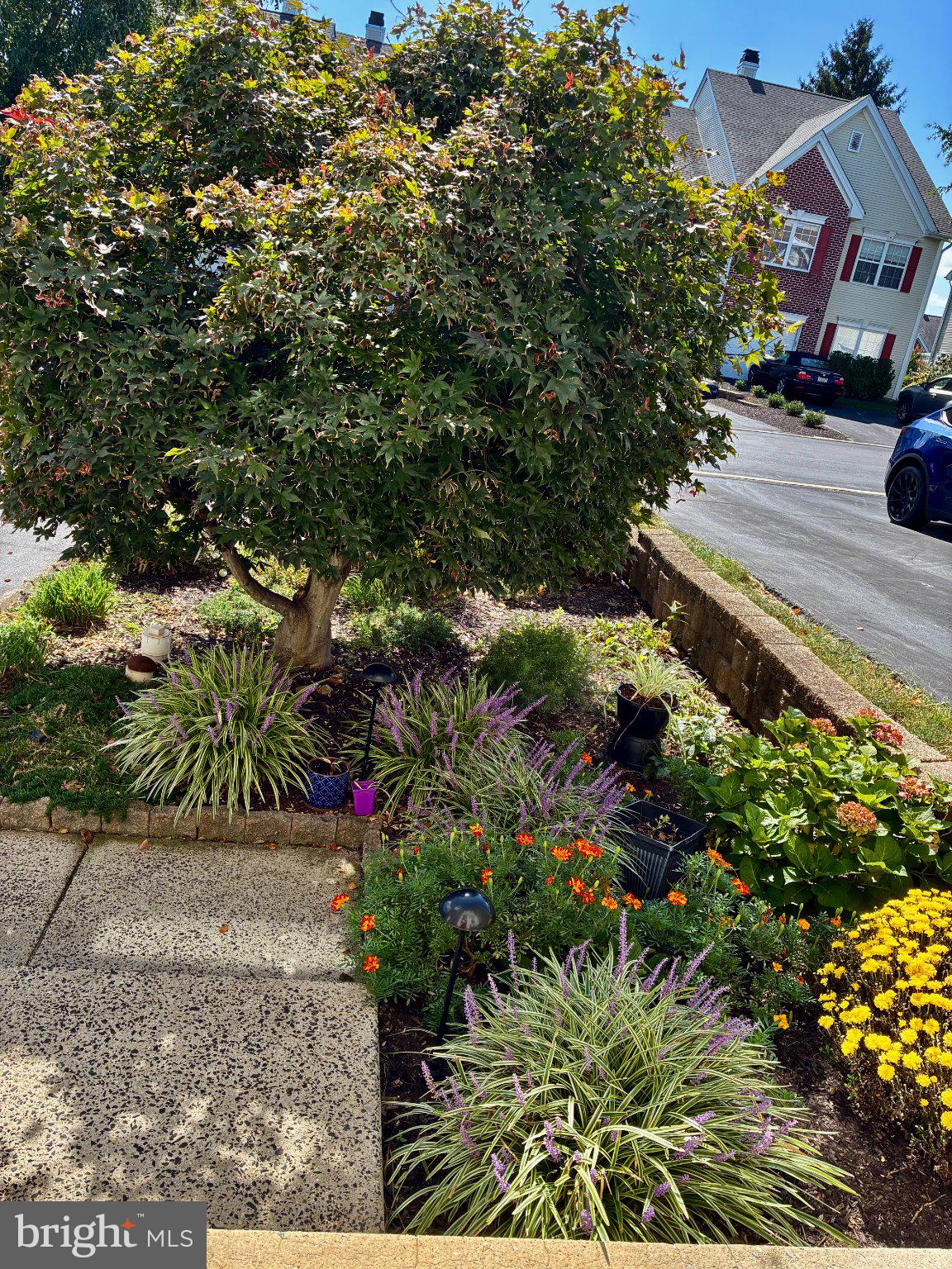 224 Lookout Place Wayne, PA 19087 - Photo 3 of 20 Gallery Image 3