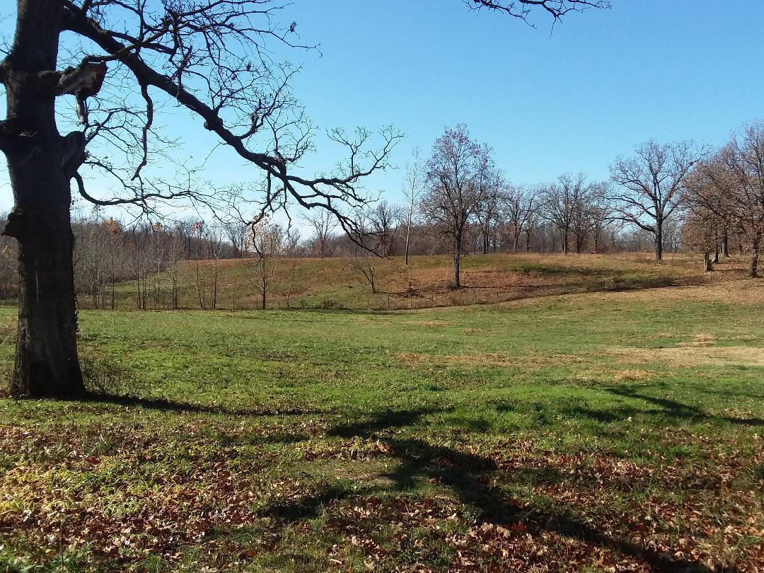 Tbd Lawhorn Road Anderson, MO 64831 - Photo 1 of 1 Lawhorn pasture-best