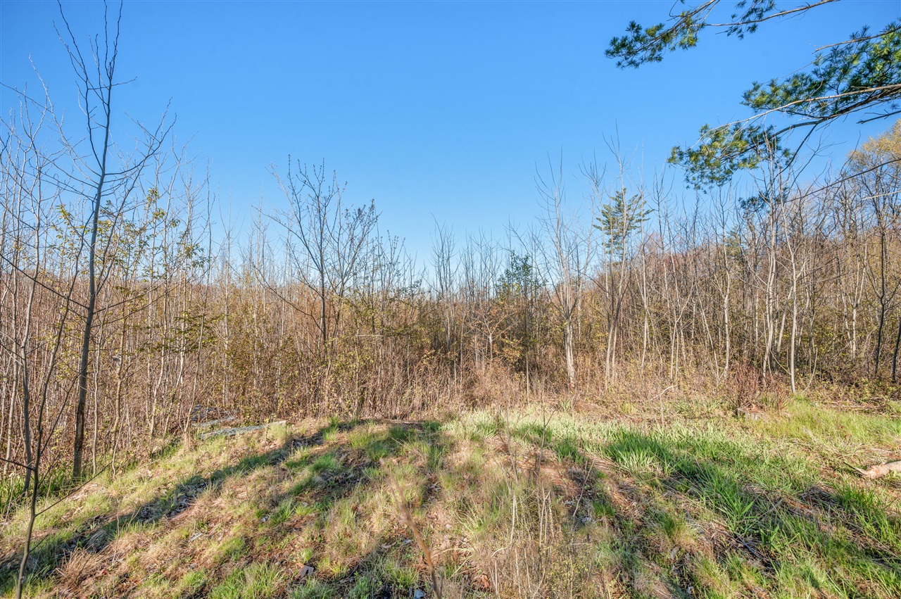 16107 12 Mile Road Leroy, MI 49655 - Photo 40 of 40 Gallery Image 40