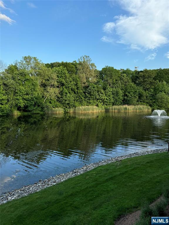 239 Terrace Lake Drive Butler, NJ 07405 - Photo 34 of 37