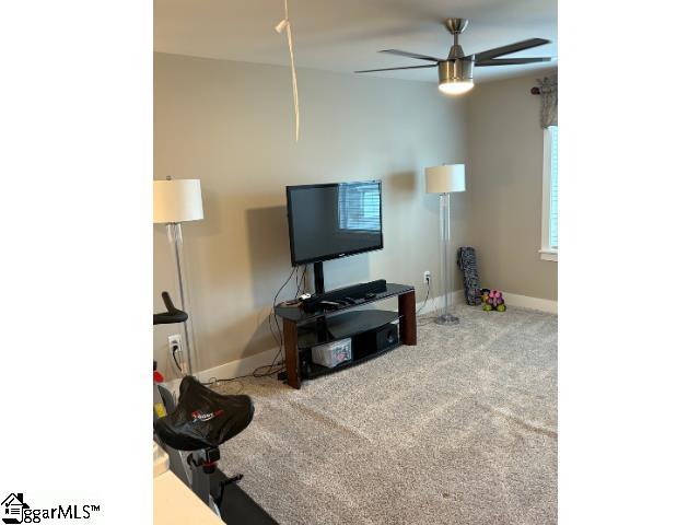 602 Cartmel Street Greer, SC 29651 - Photo 19 of 32 Gallery Image 19