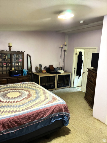 547 East 2000th Street North Vernal, UT 84078 - Photo 14 of 50 Carpeted flooring throughout