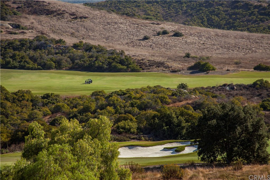 32 Boulder View Irvine, CA 92603 - Photo 3 of 73