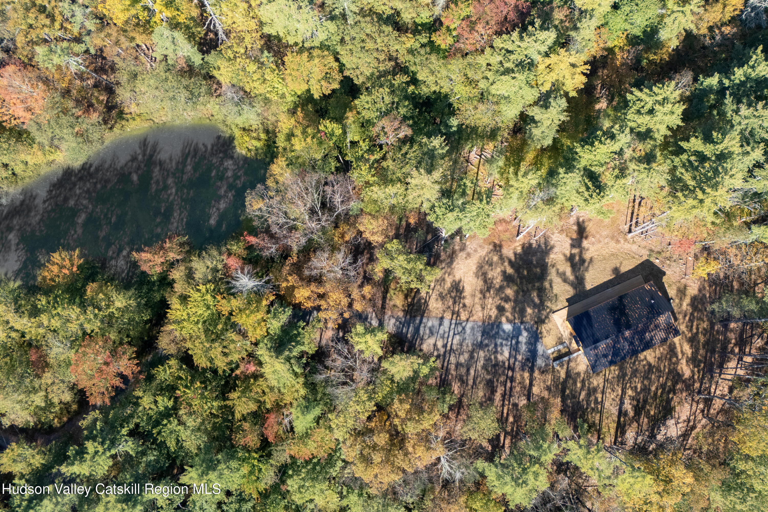 246 South Road Ruby, NY 12475 - Photo 32 of 35 a picture of tree