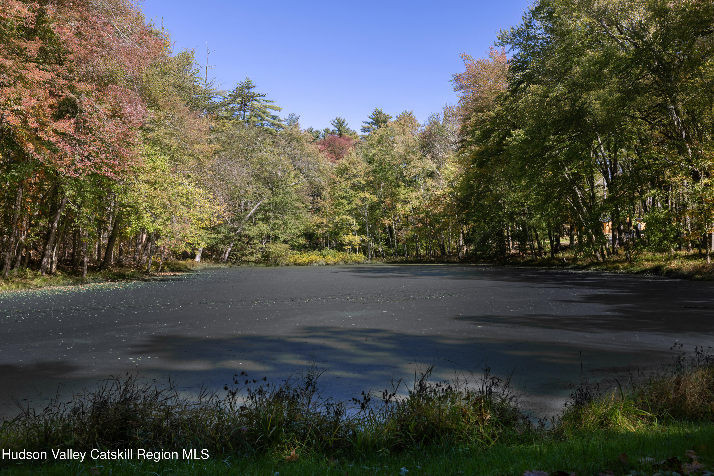 246 South Road Ruby, NY 12475 - Photo 33 of 35 a view of yard