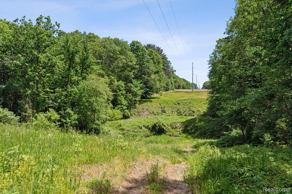 3365 East Dean Road Howell, MI 48855 - Photo 44 of 50