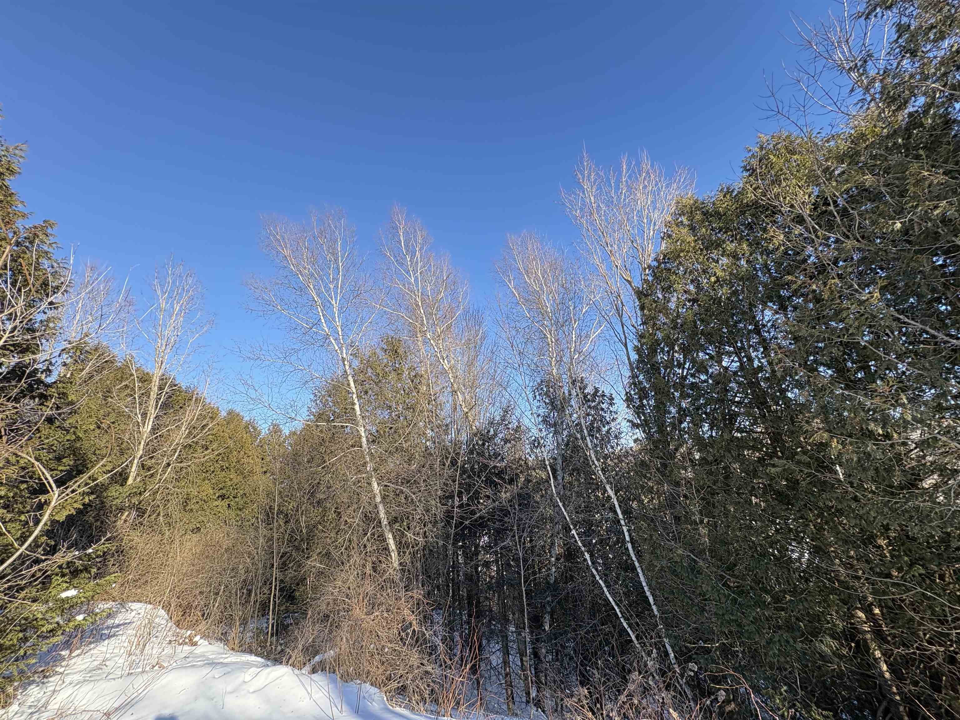 1379 River Road Orleans, VT 05860 - Photo 47 of 49