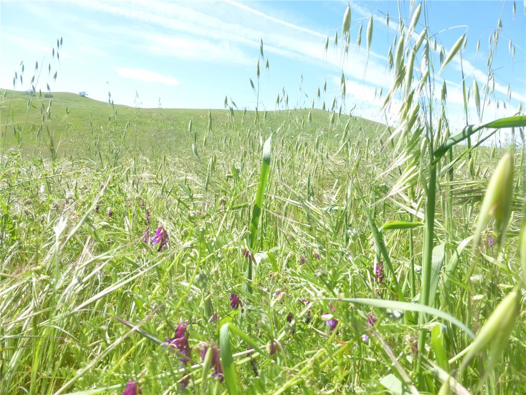 0 Douglas Road San Miguel, CA 93451 - Photo 18 of 75