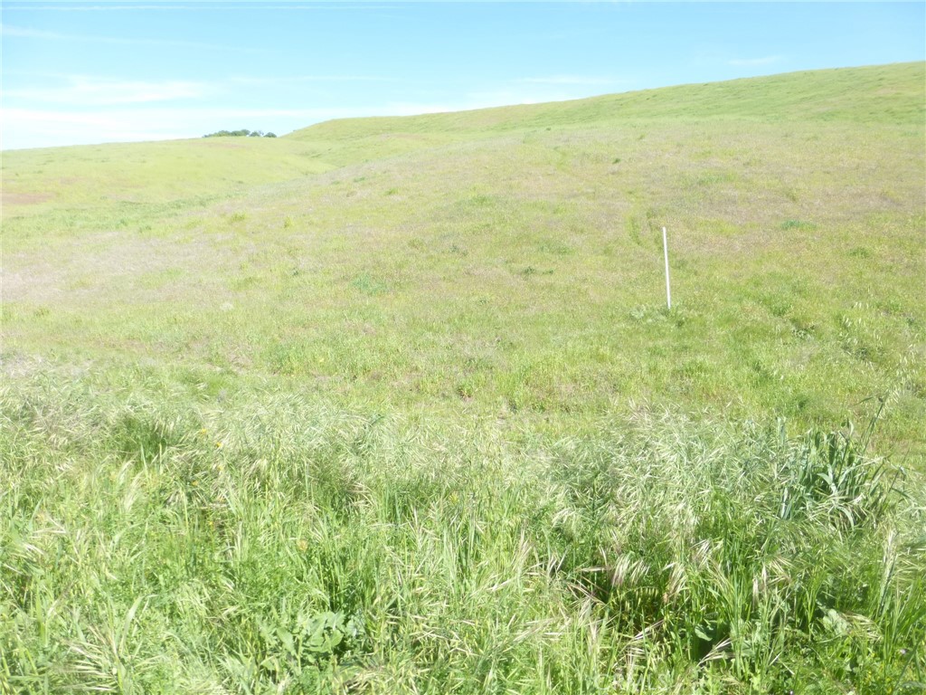 0 Douglas Road San Miguel, CA 93451 - Photo 19 of 75 a view of an ocean from a yard