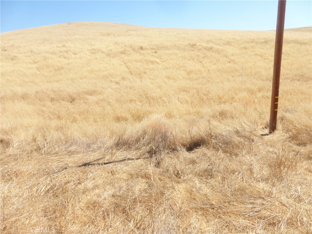 0 Douglas Road San Miguel, CA 93451 - Photo 29 of 42