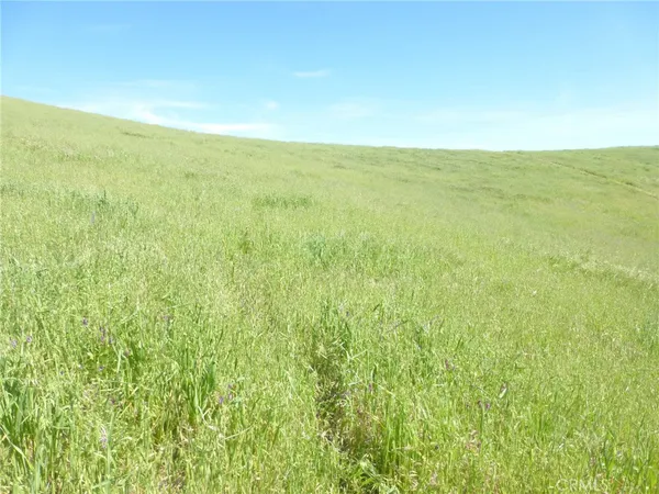 a view of beach and ocean