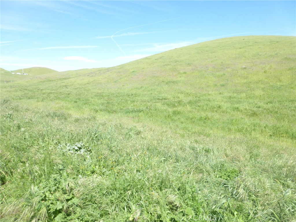 0 Douglas Road San Miguel, CA 93451 - Photo 35 of 75