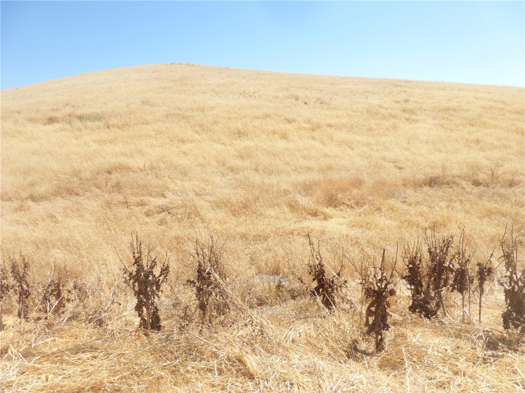 0 Douglas Road San Miguel, CA 93451 - Photo 57 of 75 a view of an ocean