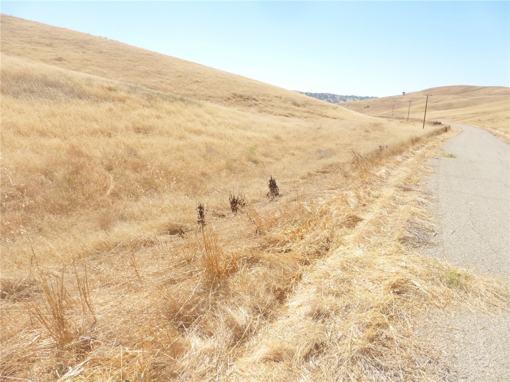 0 Douglas Road San Miguel, CA 93451 - Photo 65 of 75 a view of a dry yard and mountain view