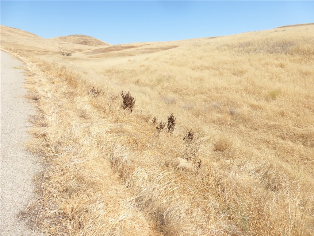 0 Douglas Road San Miguel, CA 93451 - Photo 66 of 75