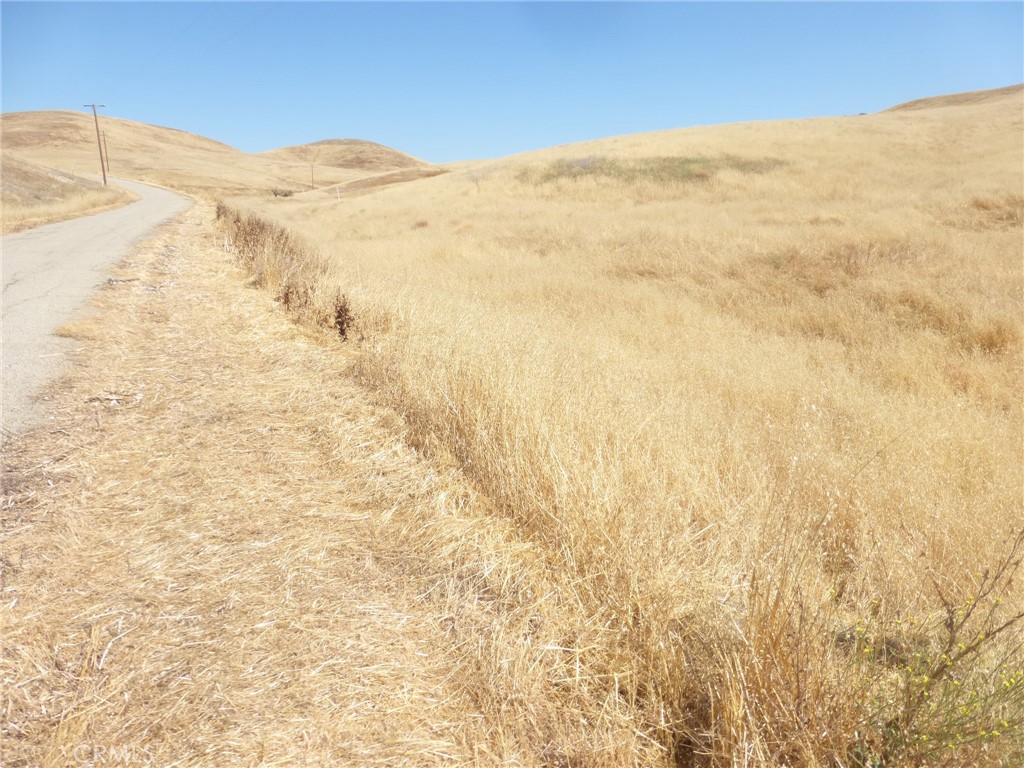 0 Douglas Road San Miguel, CA 93451 - Photo 72 of 75 a view of a dry yard with a mountain
