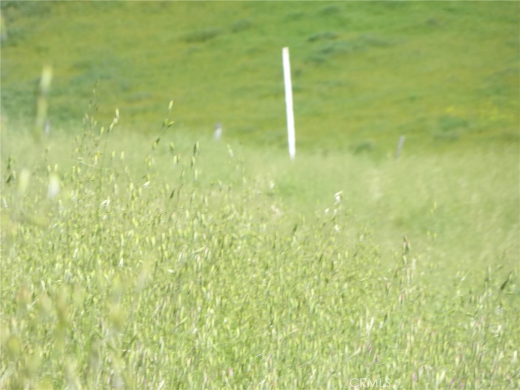 0 Douglas Road San Miguel, CA 93451 - Photo 10 of 75 a bathroom with a small yard