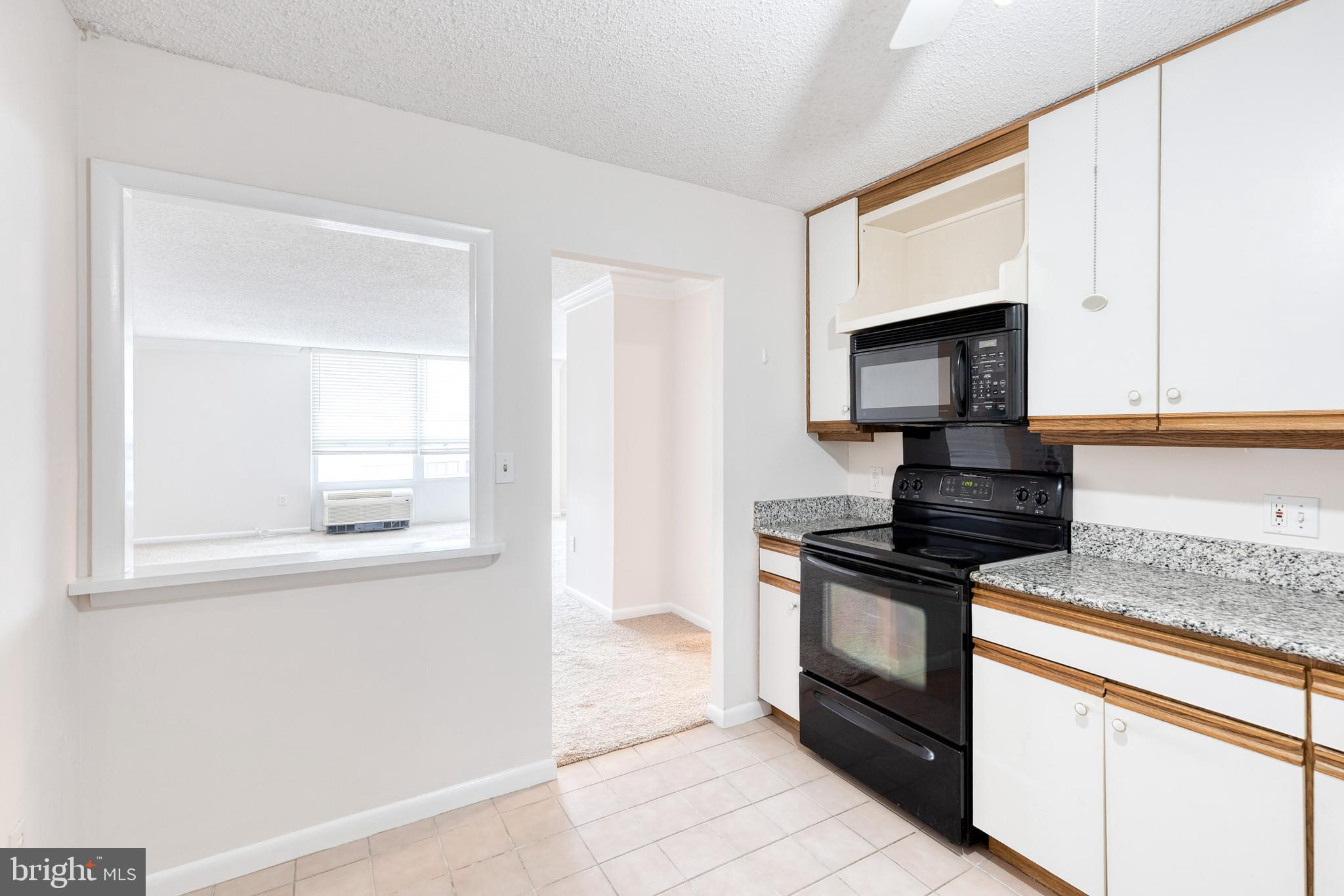 205 East Joppa Road, Unit 1508 Towson, MD 21286 - Photo 13 of 30 Gallery Image 13