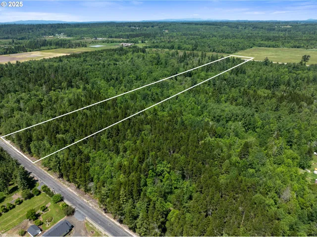a view of a balcony with a forest