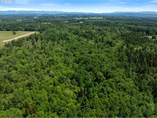a view of a lake and green valley
