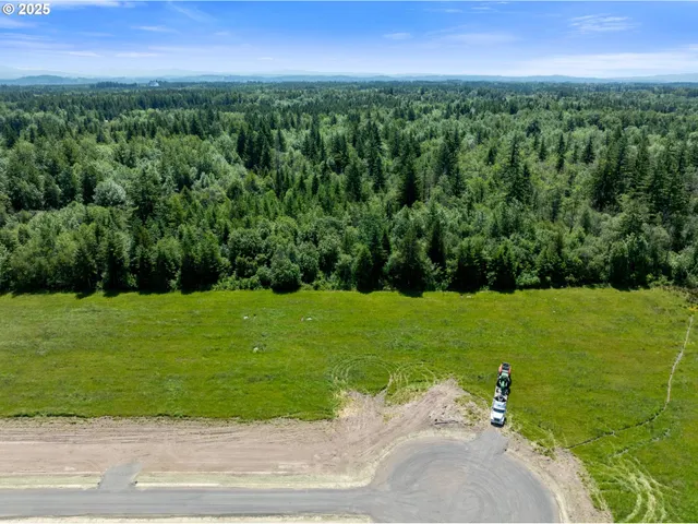 a view of a city with lush green forest