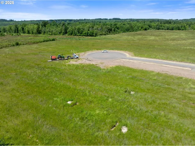a view of a field with an ocean