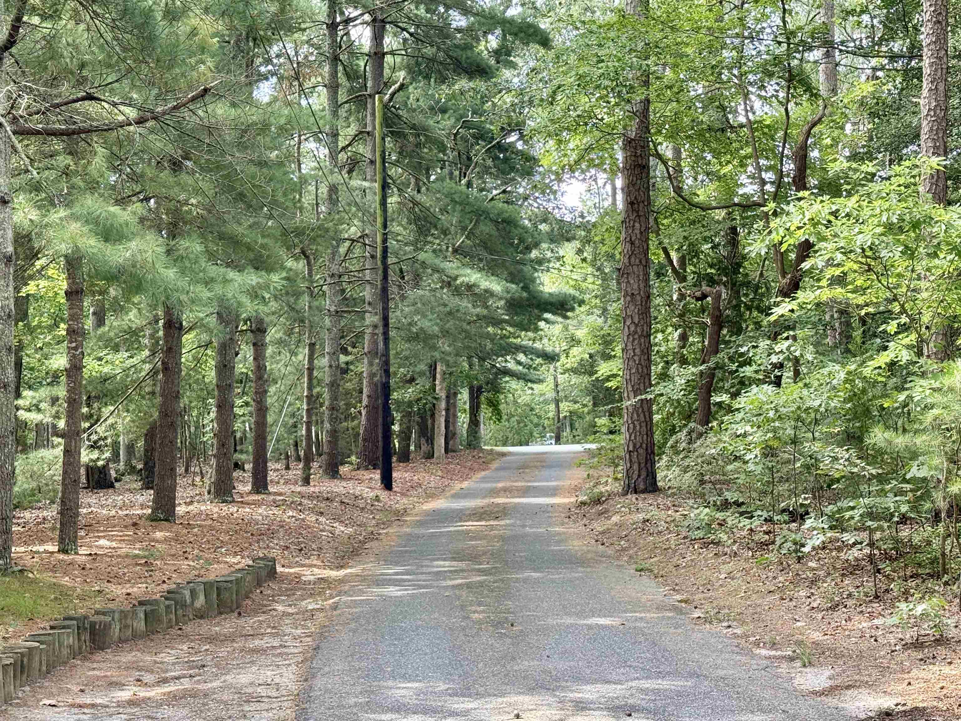 506 Hagen Road South Dennis, NJ 08210 - Photo 6 of 49 a view of a park with large trees