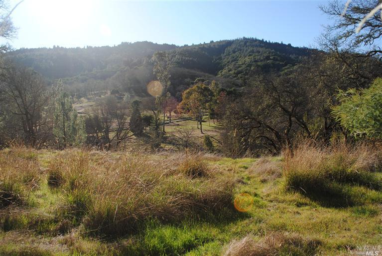 a view of a yard with mountains in the background