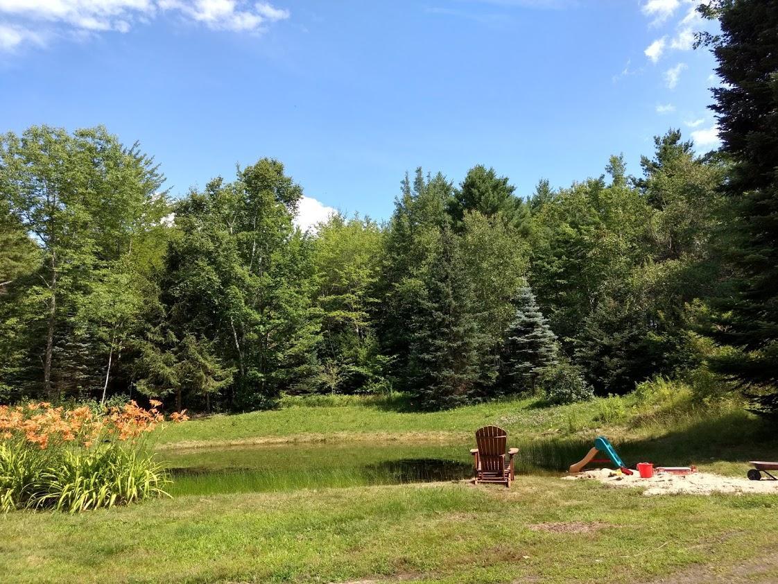 138 Raymond Hill Road Raymond, ME 04071 - Photo 59 of 62 summer pond 2
