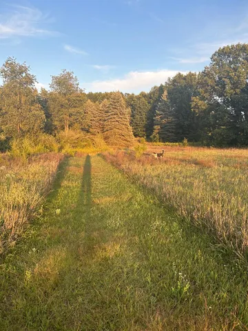 $335,900 | 1894 North State Road, Ionia, MI 48846