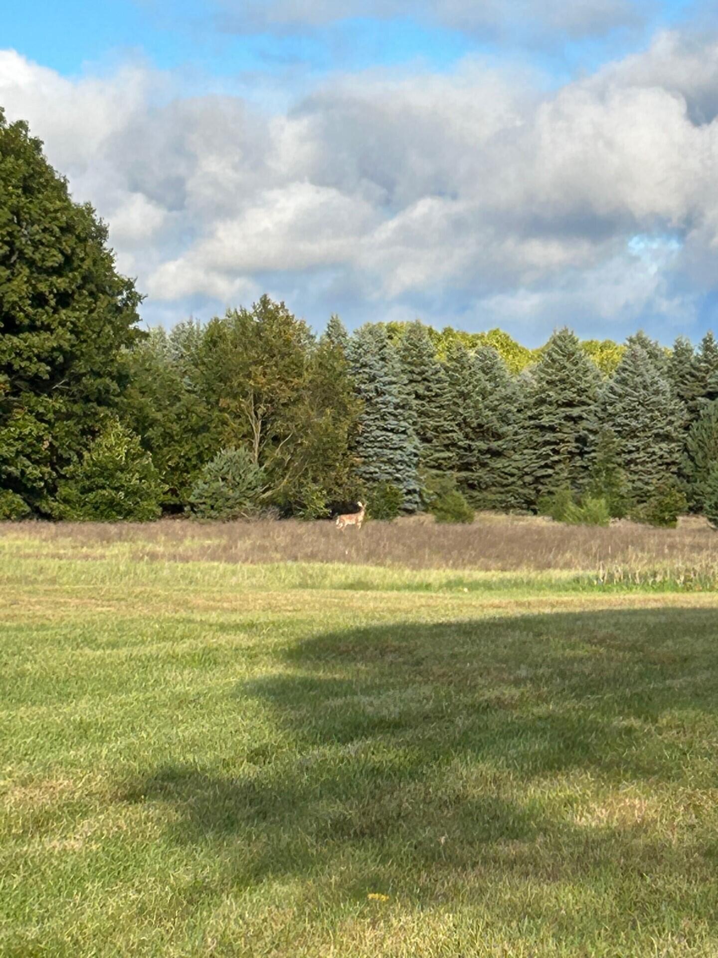 1894 North State Road Ionia, MI 48846 - Photo 60 of 60 thumbnail_IMG_1812