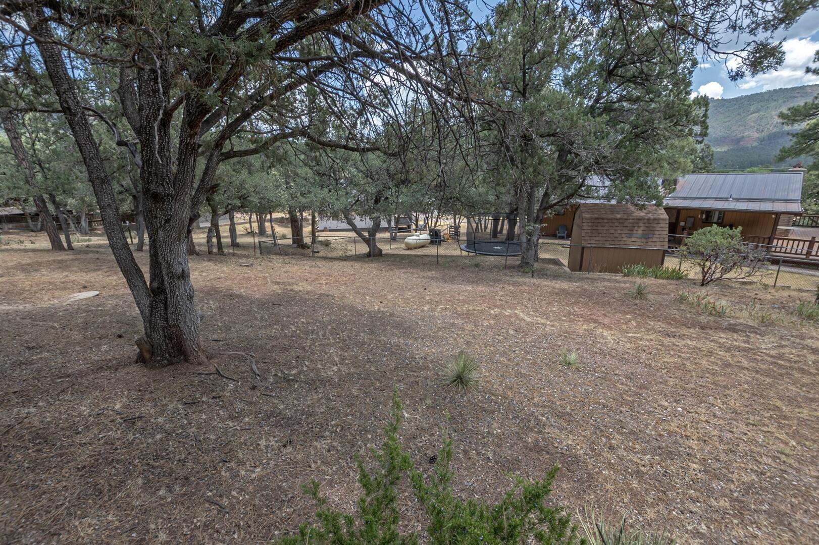 3943 Pine Road Pine, AZ 85544 - Photo 25 of 31