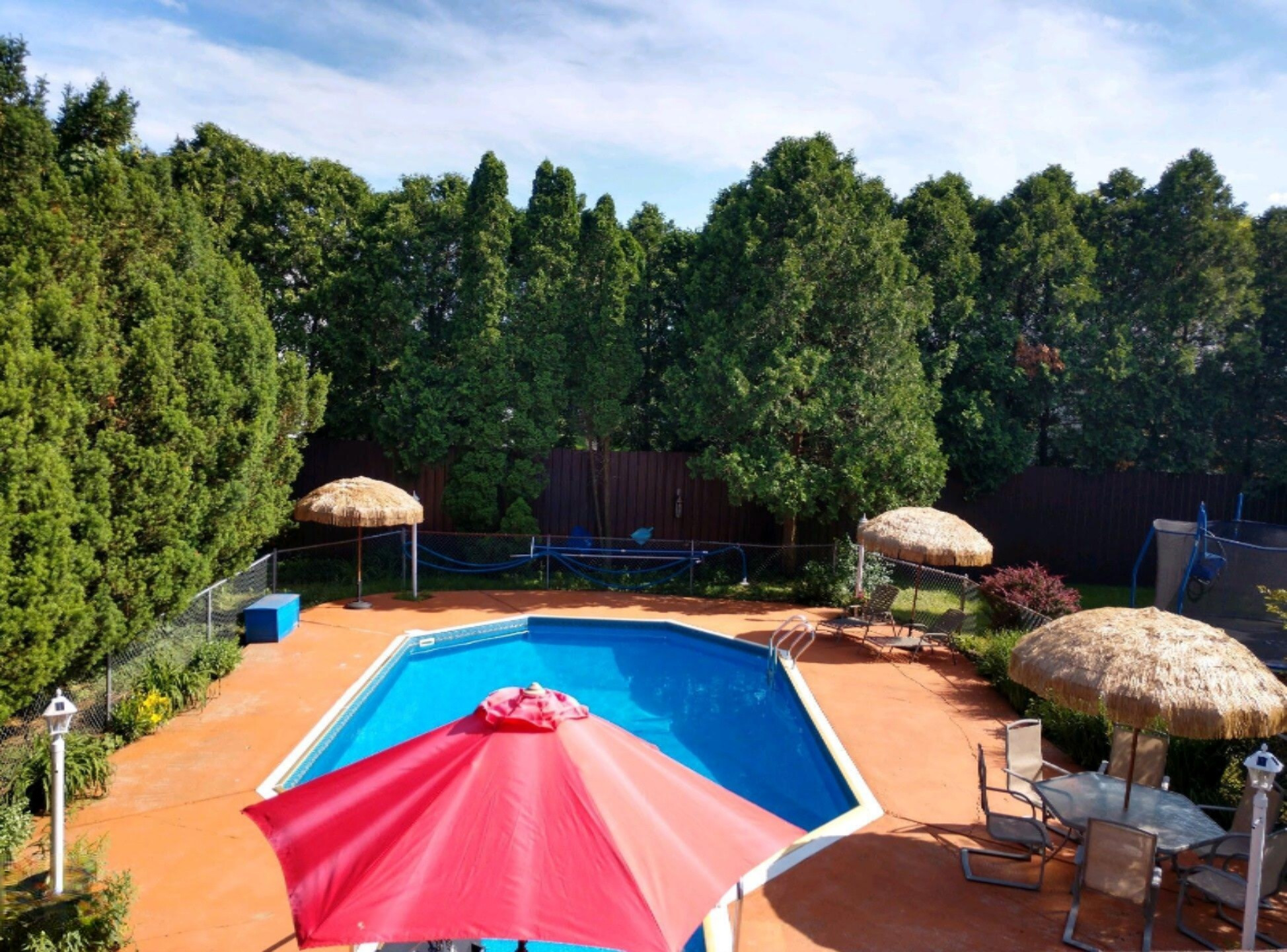 1303 Verona Road Marshall, MI 49068 - Photo 9 of 28 Pool2