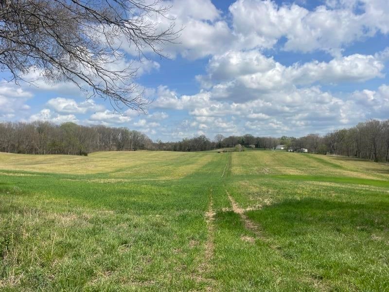 2375 Antioch Church Road Alvaton, KY 42122 - Photo 10 of 26 Gallery Image 10