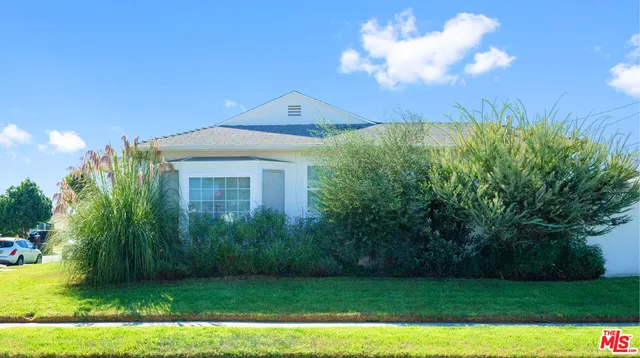 a view of a big yard with plants and large trees
