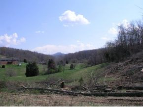 251 Jim Elliott Road Elizabethton, TN 37643 - Photo 12 of 15 Photo 13