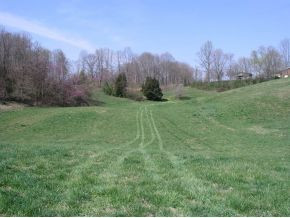 251 Jim Elliott Road Elizabethton, TN 37643 - Photo 15 of 15 Photo 16