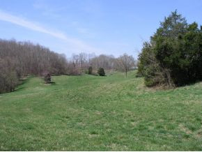 251 Jim Elliott Road Elizabethton, TN 37643 - Photo 2 of 15 Photo 2