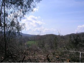 251 Jim Elliott Road Elizabethton, TN 37643 - Photo 3 of 15 Photo 3
