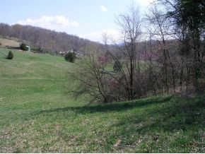 251 Jim Elliott Road Elizabethton, TN 37643 - Photo 5 of 15 Photo 5