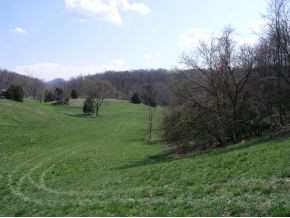 251 Jim Elliott Road Elizabethton, TN 37643 - Photo 7 of 15 Photo 8