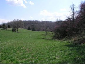 251 Jim Elliott Road Elizabethton, TN 37643 - Photo 8 of 15 Photo 9