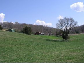 251 Jim Elliott Road Elizabethton, TN 37643 - Photo 10 of 15 Photo 11