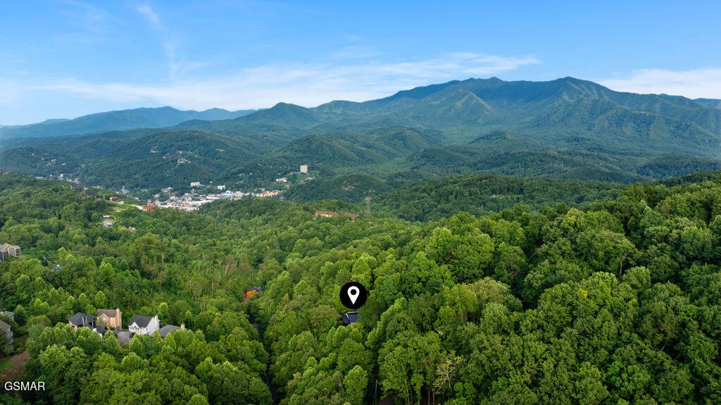 972 Stans Road Gatlinburg, TN 37738 - Photo 60 of 63 Gallery Image 60