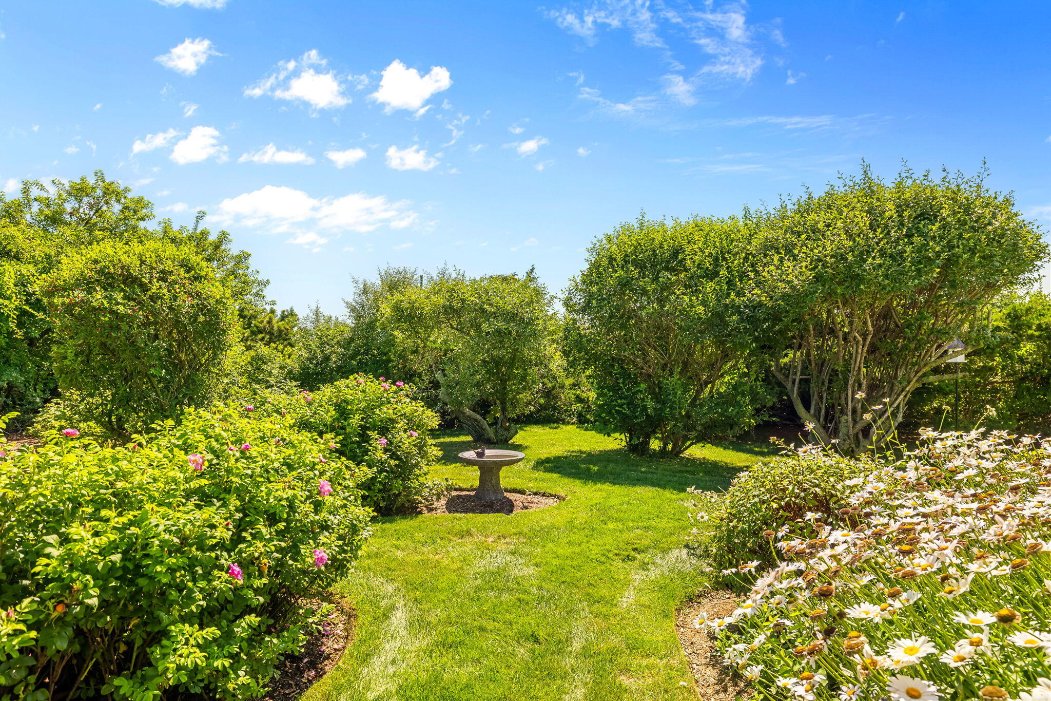 44 Twine Field Road Truro, MA 02666 - Photo 61 of 72 62-web-or-mls-44 Twine Field Rd Final-71