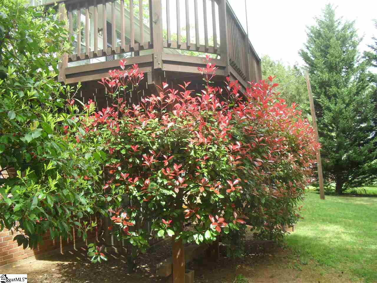 9 East Chaucer Road Greenville, SC 29617 - Photo 6 of 8 Gallery Image 6