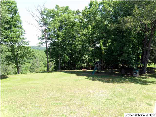 256 Overlook Drive Cleveland, AL 35049 - Photo 6 of 31